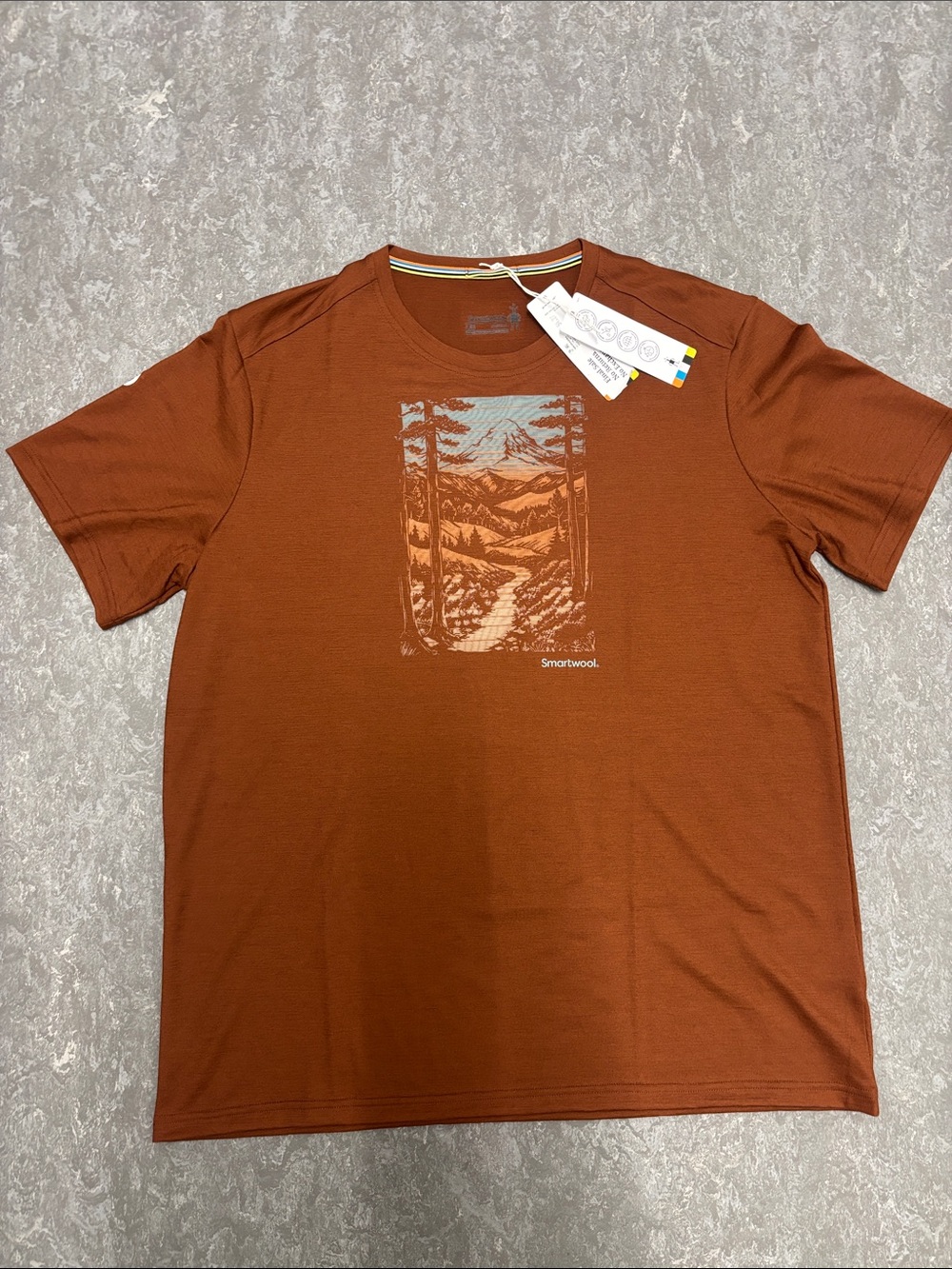 Smartwool Men's active short sleeve graphic tee burnt sienna size Large NWT